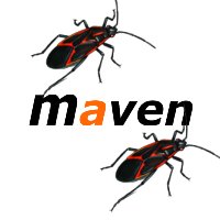 maven